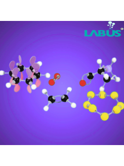 PL MOLECULAR MODEL SET - ORGANIC STEREO CHEMISTRY SET – TEACHER
